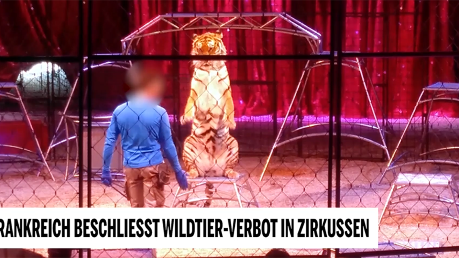 Wildtier-Verbot im Zirkus auch in Frankreich